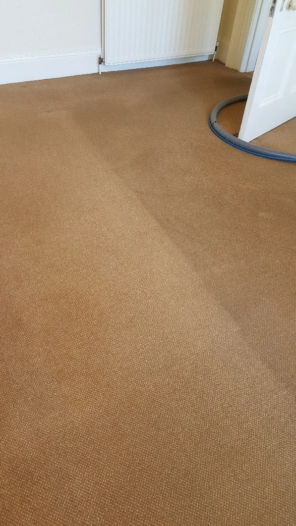 Home carpet before cleaning